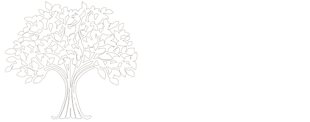 Link to Jansen Bean DDS home page